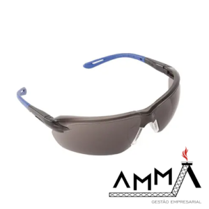 Óculos de Segurança Uvex Coleção Básic Gama S1101X-BR Honeywell