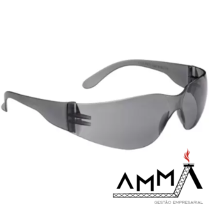 Óculos de Segurança Uvex Coleção Básic XV100 XV101-BR Honeywell