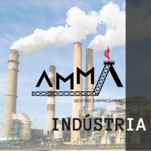 INDUSTRIA AMMA